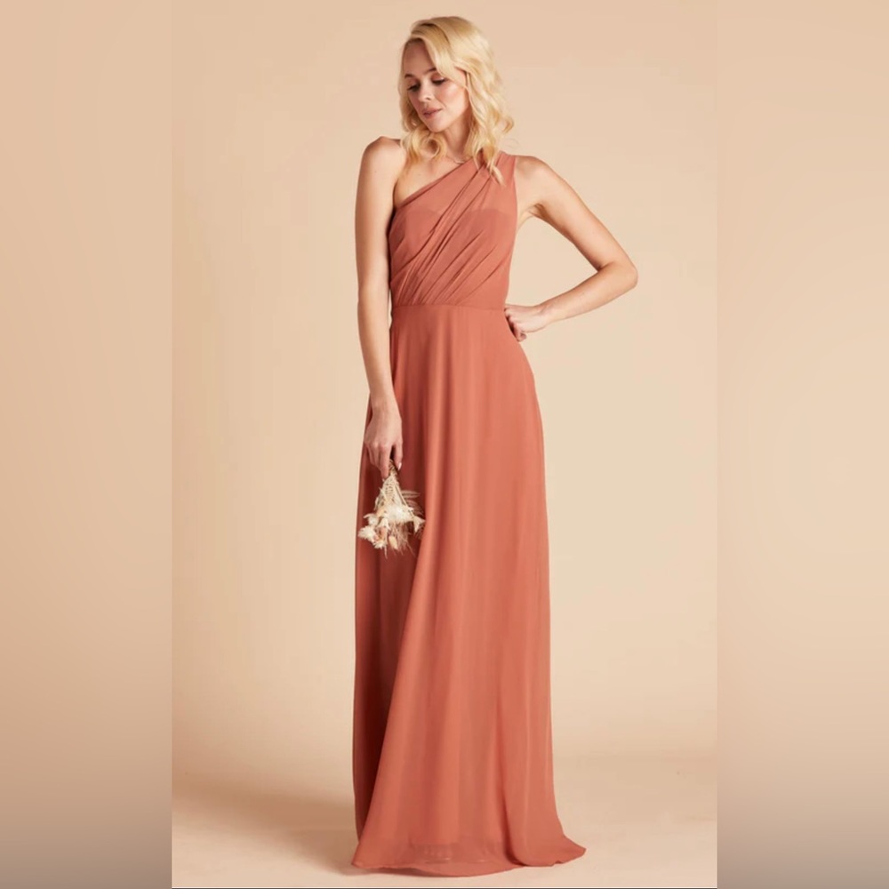 Birdy Grey Kira Dress in Terra Cotta (Medium)